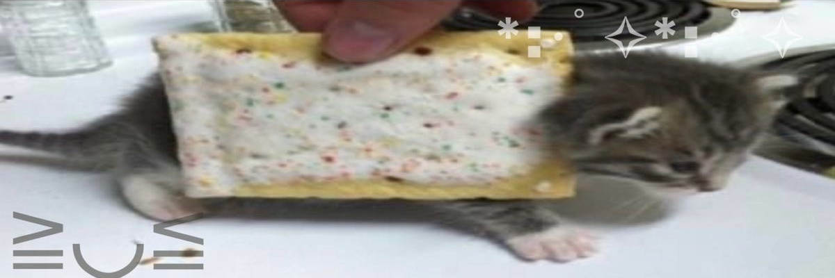 kiki banner