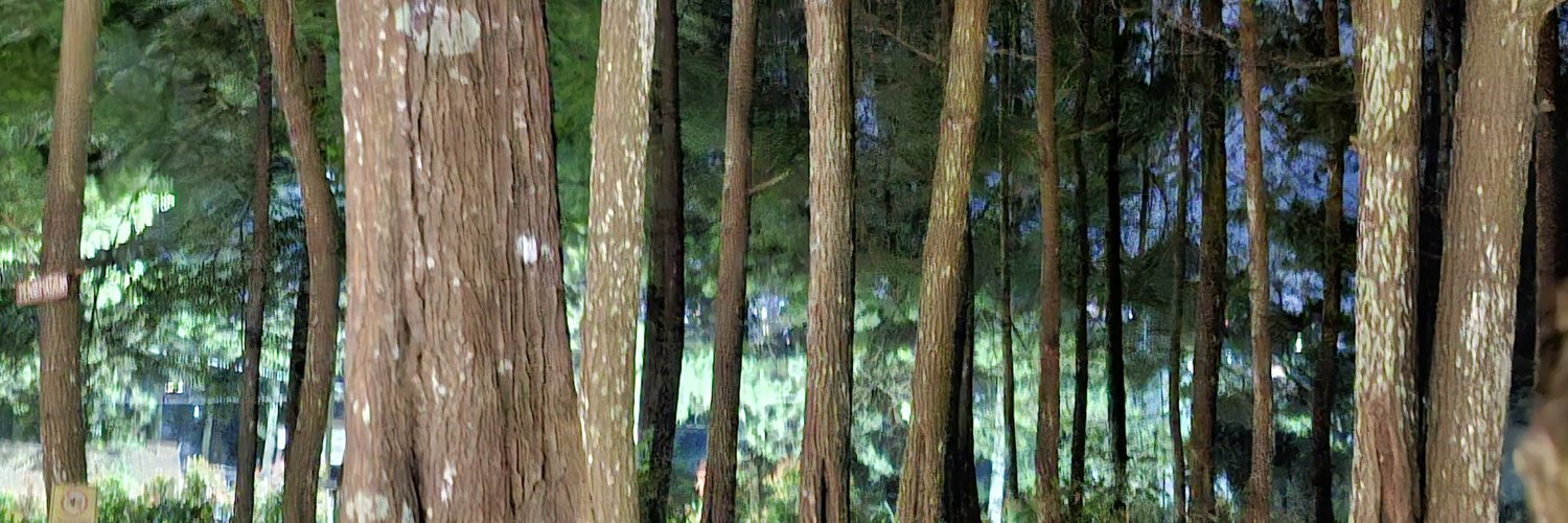andamanprojects's profile banner image