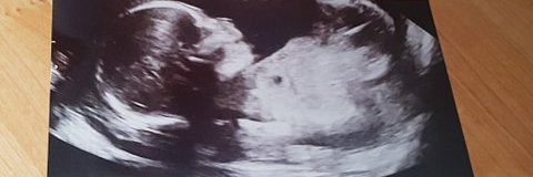 💙💙💙BearsBlueGirly💙💙💙 banner