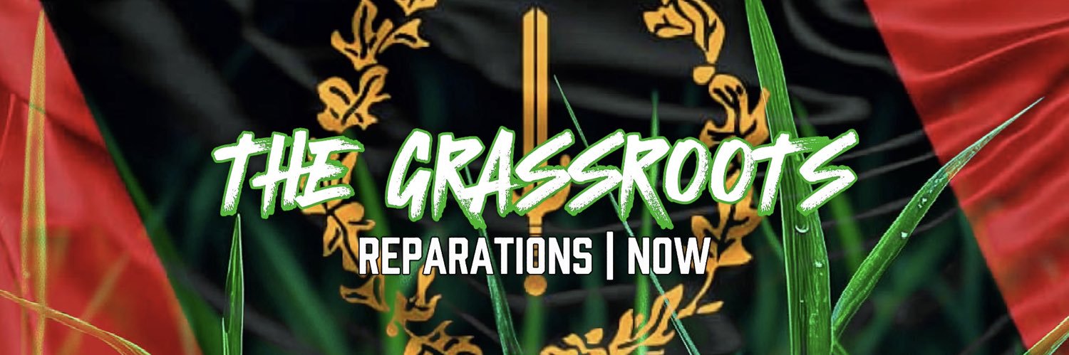 THE GRASSROOTS | REP. NOW🔺🔱🔻's banner