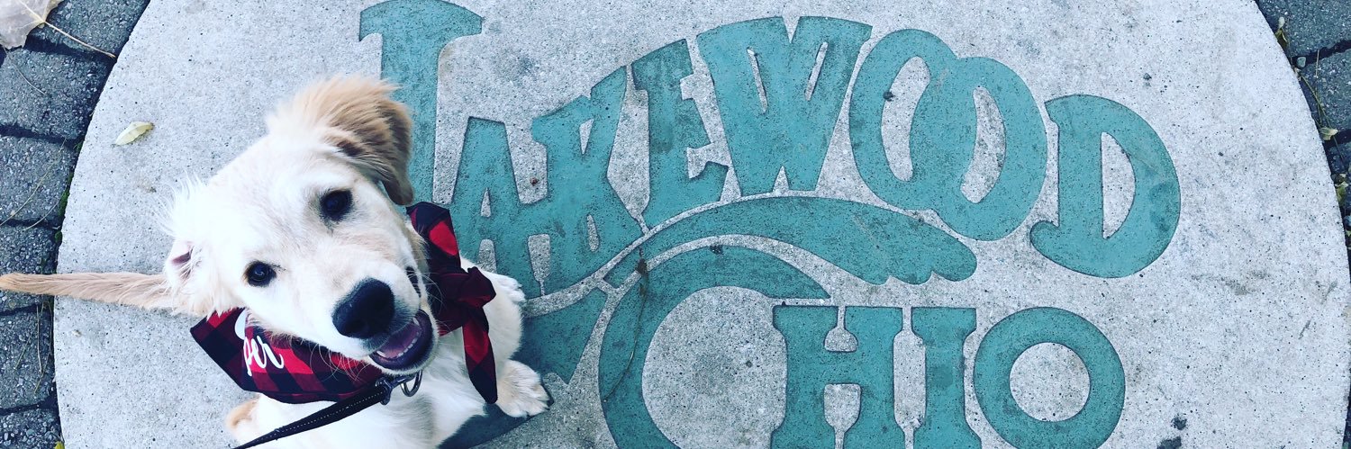 KenzerDawn's profile banner image