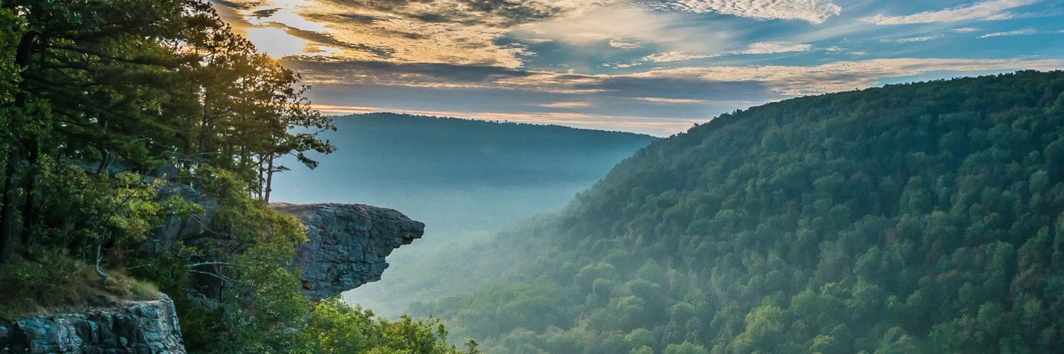 Dewayne Standridge banner