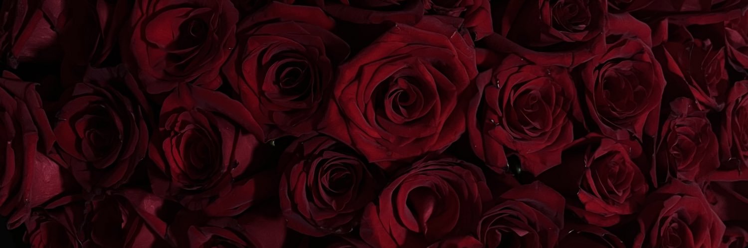 Sofnav0's profile banner image