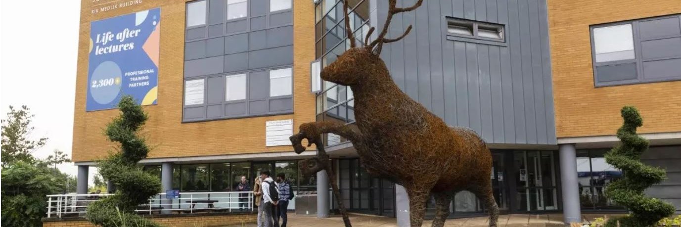 ViCEPHEC conference banner