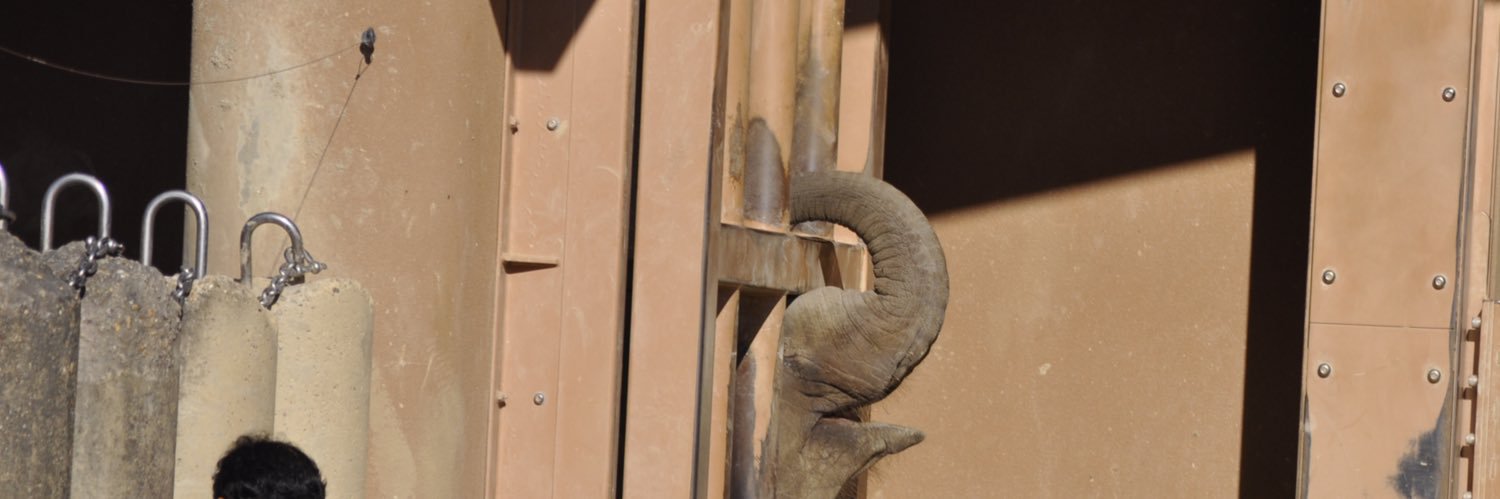 おぐらとーすと. banner