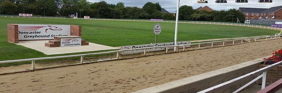 Greyhound Betting banner