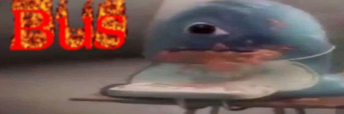 Zodd | Video Editor🎬 banner