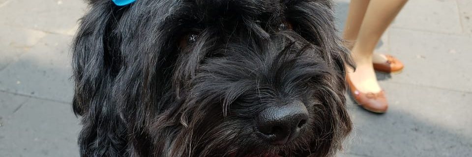 ElissaHela's profile banner image