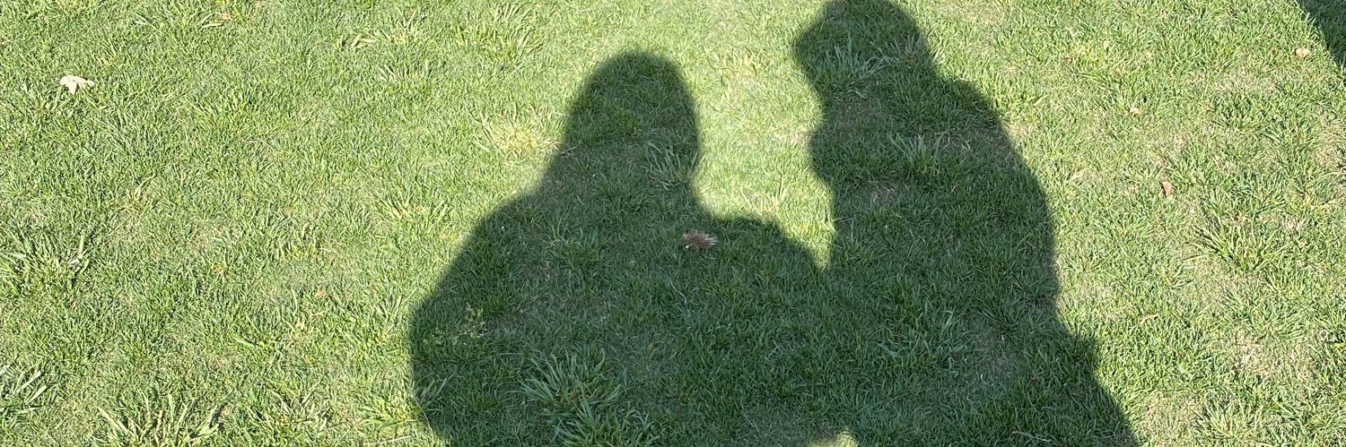 2poshmom's profile banner image