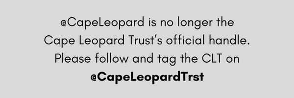 Cape_Leopard Profile Banner
