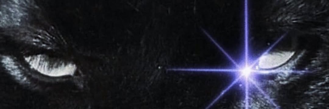 daddy silver thee sinister ꩜ banner