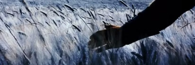 Dr. Scribbles banner