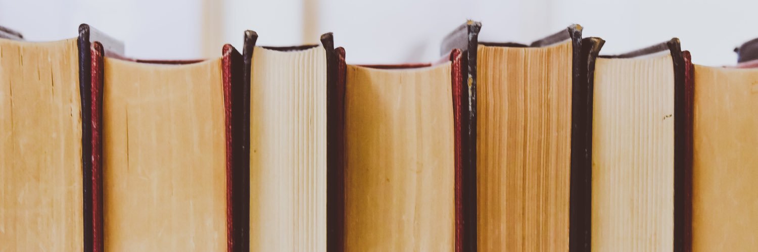 Màster ReDiLL banner