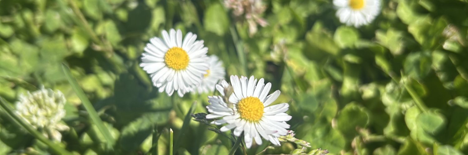 karla_mcc's profile banner image