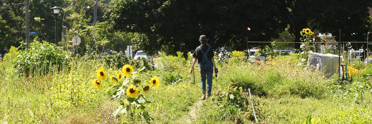Climate Solutions Park (CSP) banner