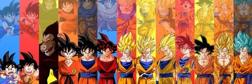F Boyer banner
