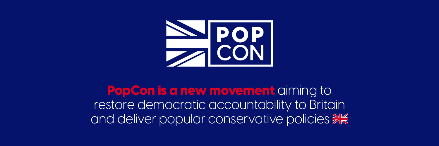 PopCon's banner