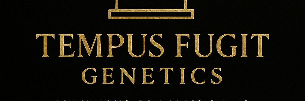 TempusfugitGen's profile banner image