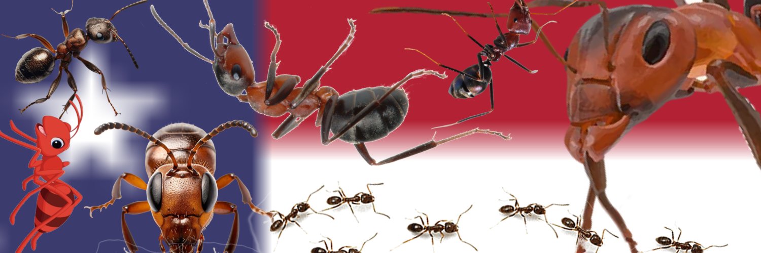ANTLIDS banner