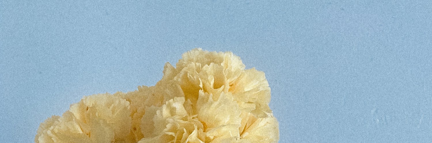 _ahanotu's profile banner image