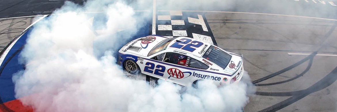 Honest Logano Fan banner