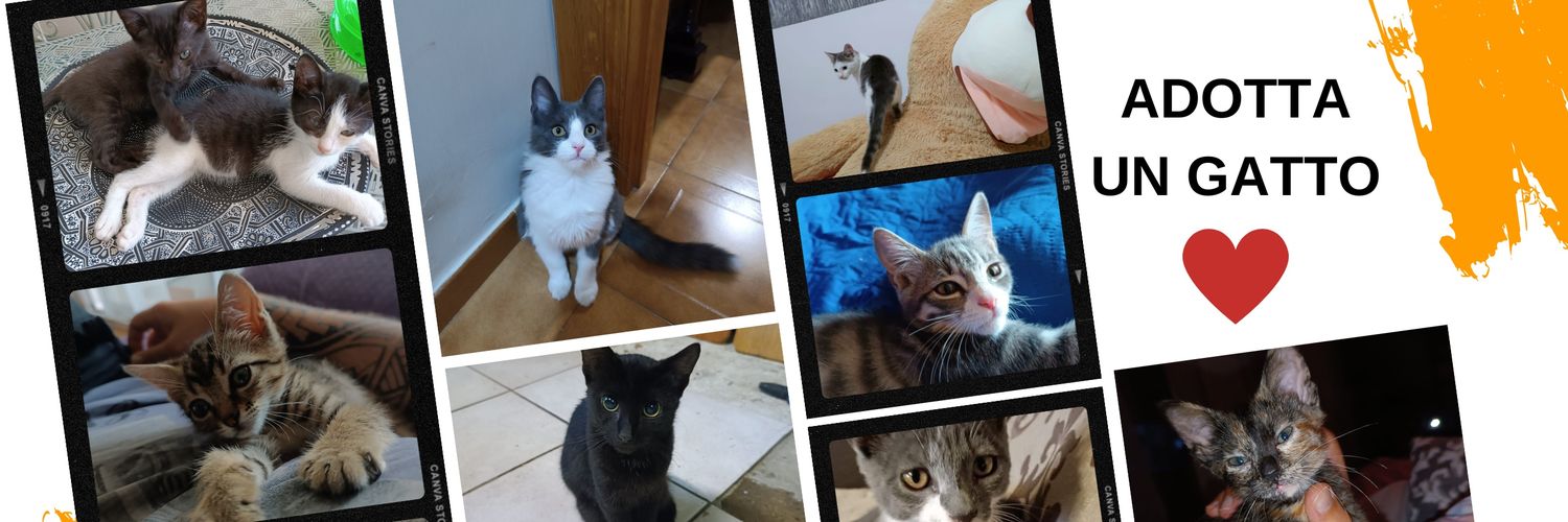 Pets Proof's banner
