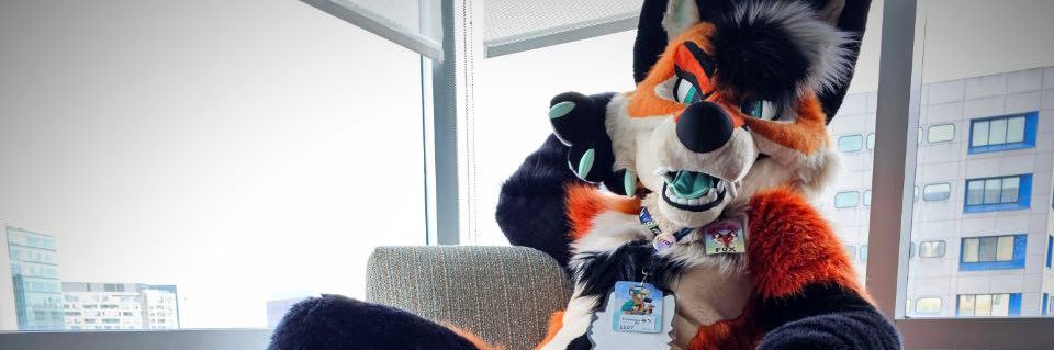 KIRA 🖤 🦊's banner