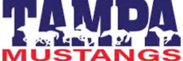 Tampa Mustangs Bedenbaugh's banner