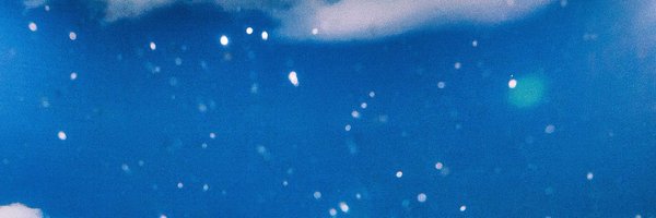 twsllshinyu Profile Banner