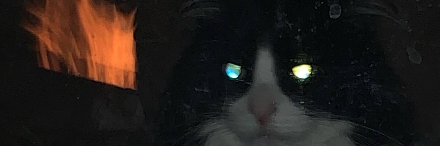 ShannonCay's profile banner image