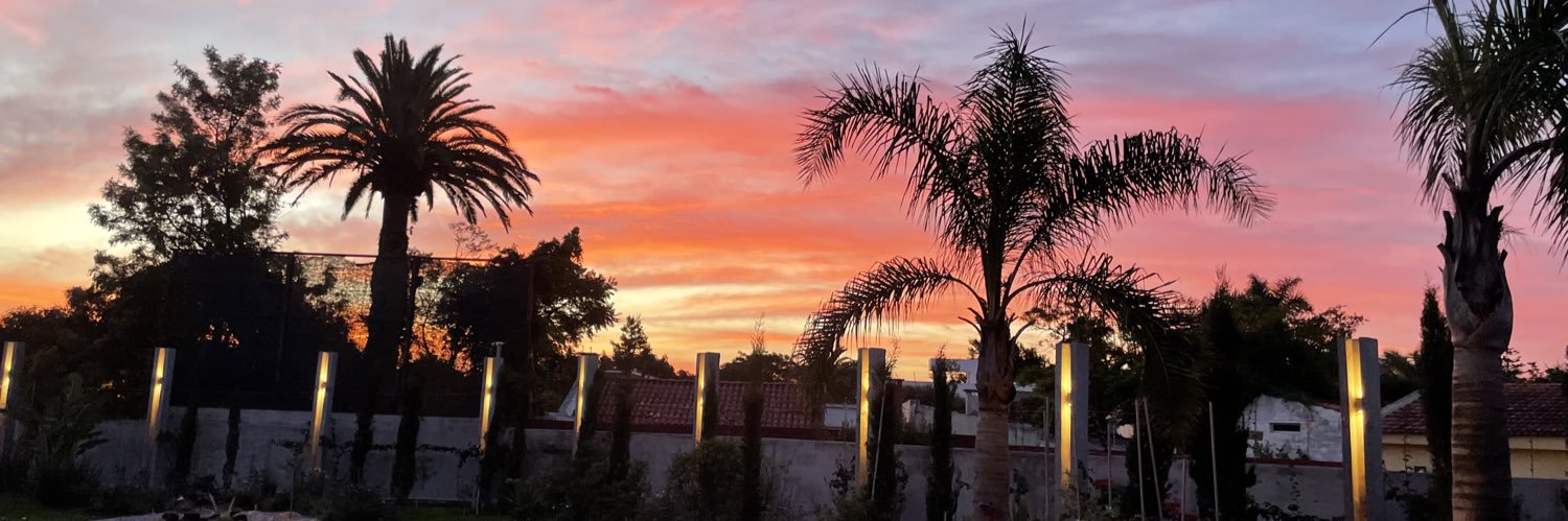 Cecilia Macció banner