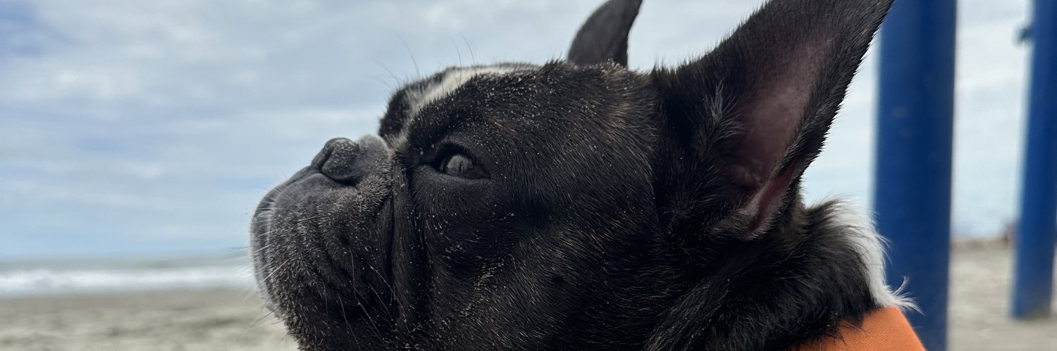 pamerodrig's profile banner image