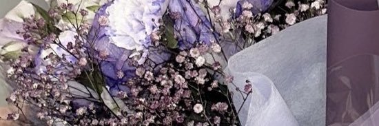 わーるどめめㄘ banner
