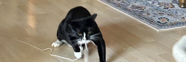 The54thFloor Profile Banner