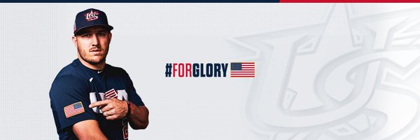 USA Baseball Profile Banner
