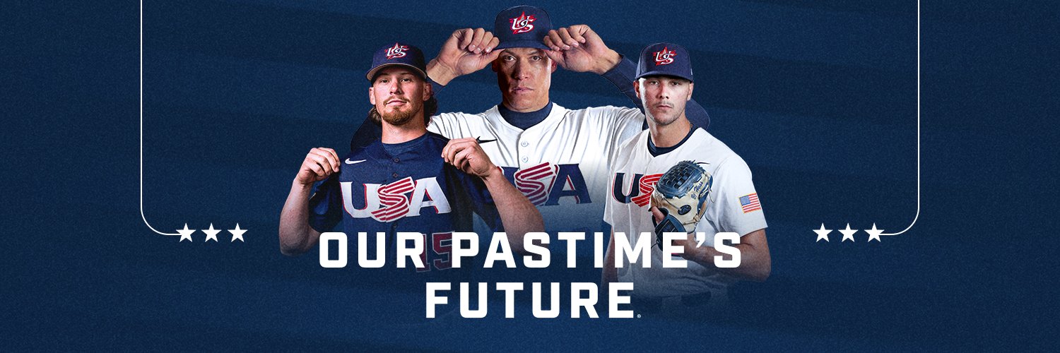 USA Baseball's banner