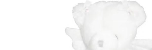evphor1a_16 Profile Banner