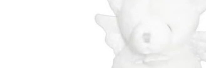 evphor1a banner