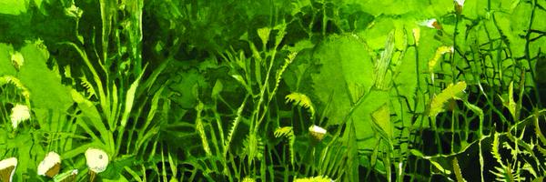 pubgen Profile Banner