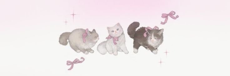 lexiversea's profile banner image