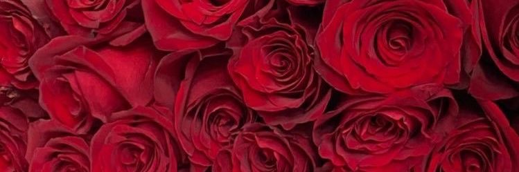 DeeeSimplyy's profile banner image