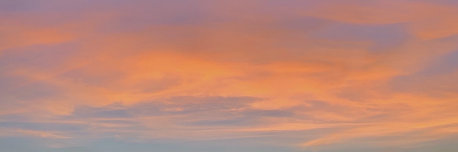 malu pomares banner