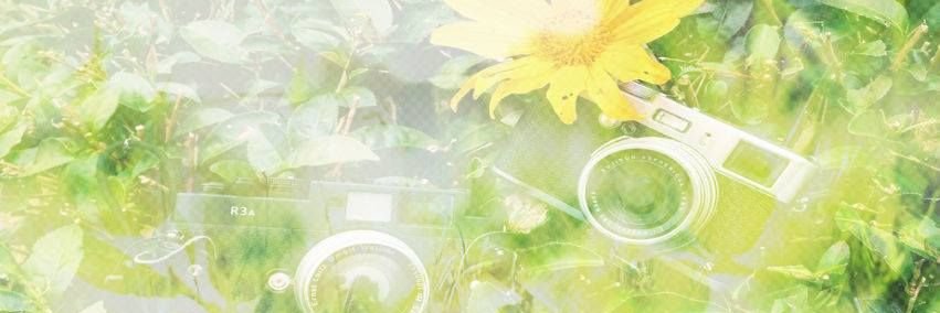 mavis!! :3 banner