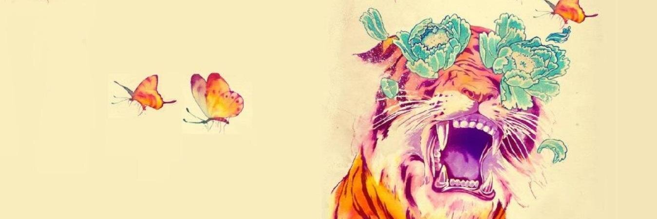 CacheLepore's profile banner image