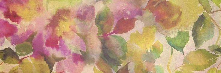 shalove banner