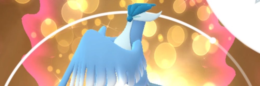 Sou banner