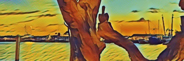 SoExuberant Profile Banner