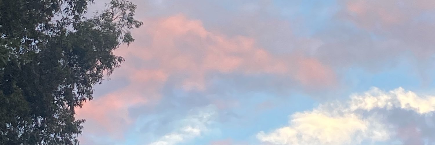 Scrapydoo225's profile banner image