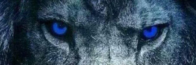 Scooby Miller banner