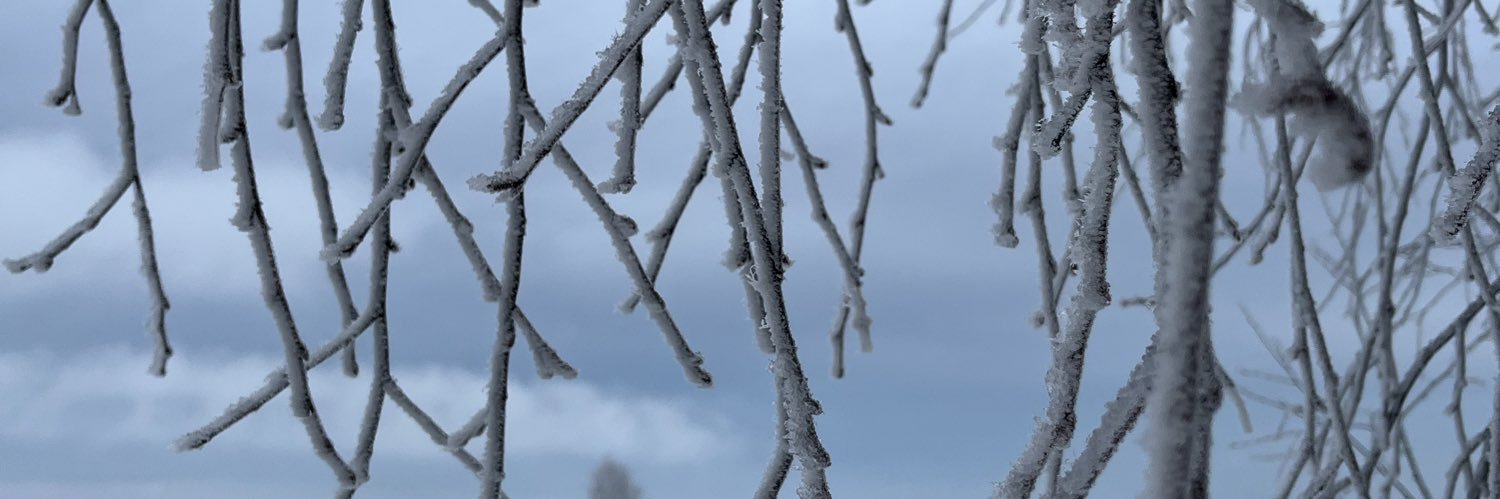 Snow_802's profile banner image